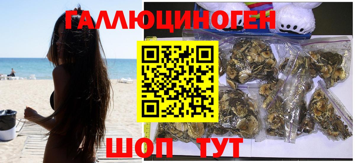 Псилоцибиновые грибы GOLDEN TEACHER  Вход с VPN  как найти закладки  Кимры 